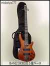 IBANEZ SR3005E.jpg